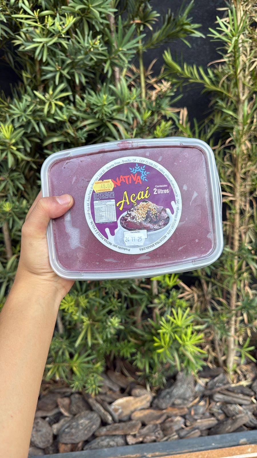 Açaí