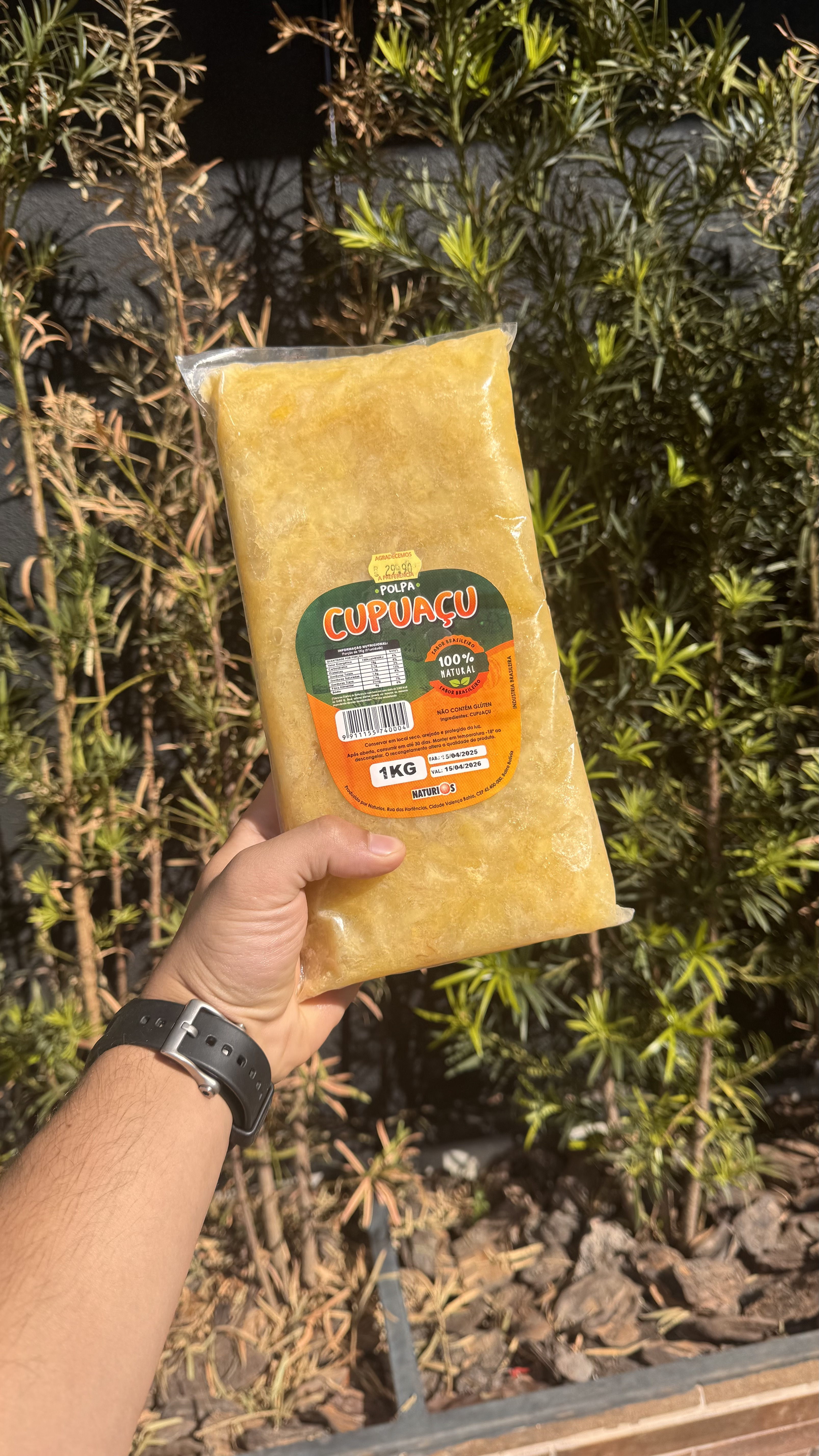 Cupuacu Congelado