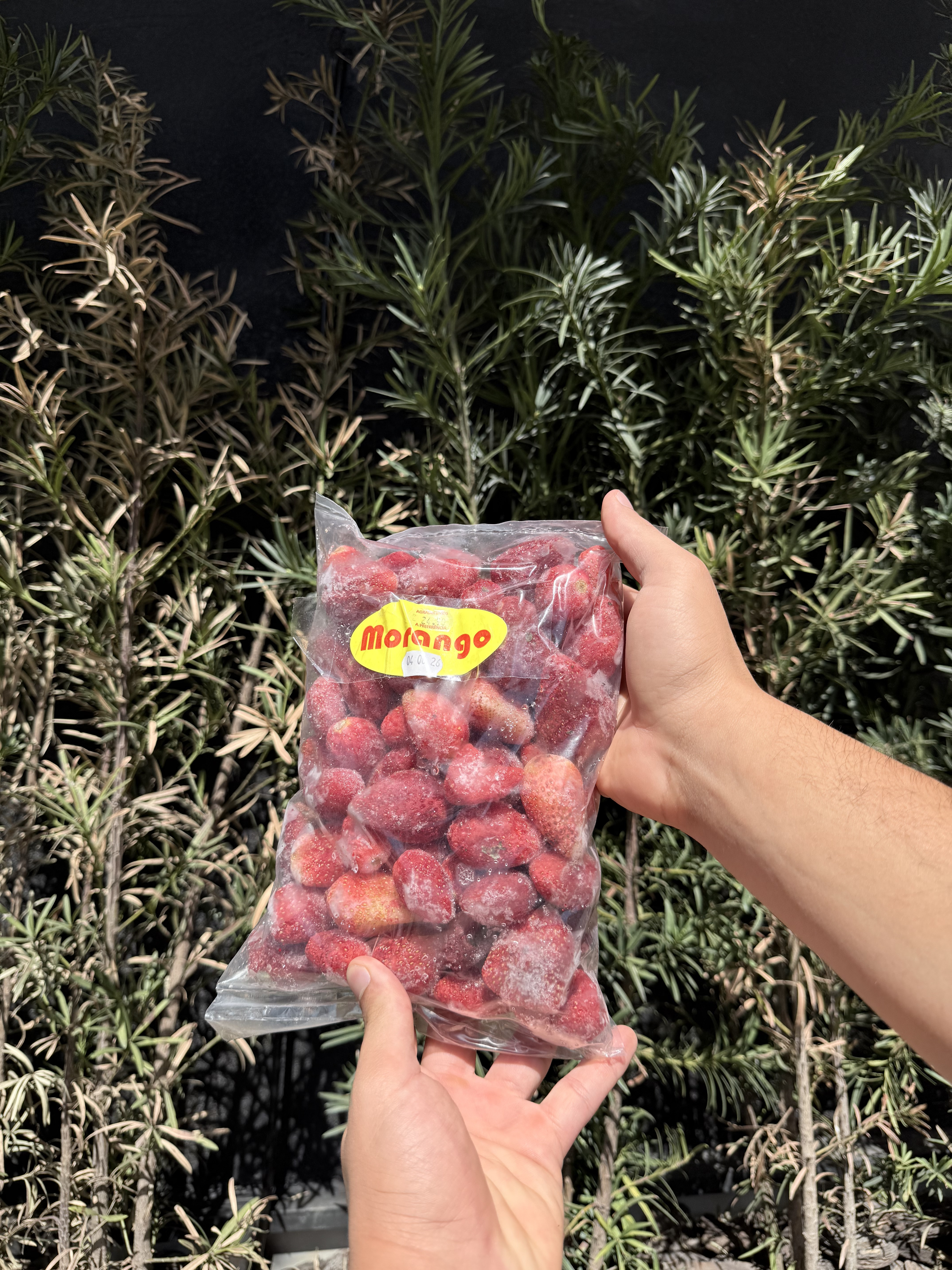 Polpa de Frutas