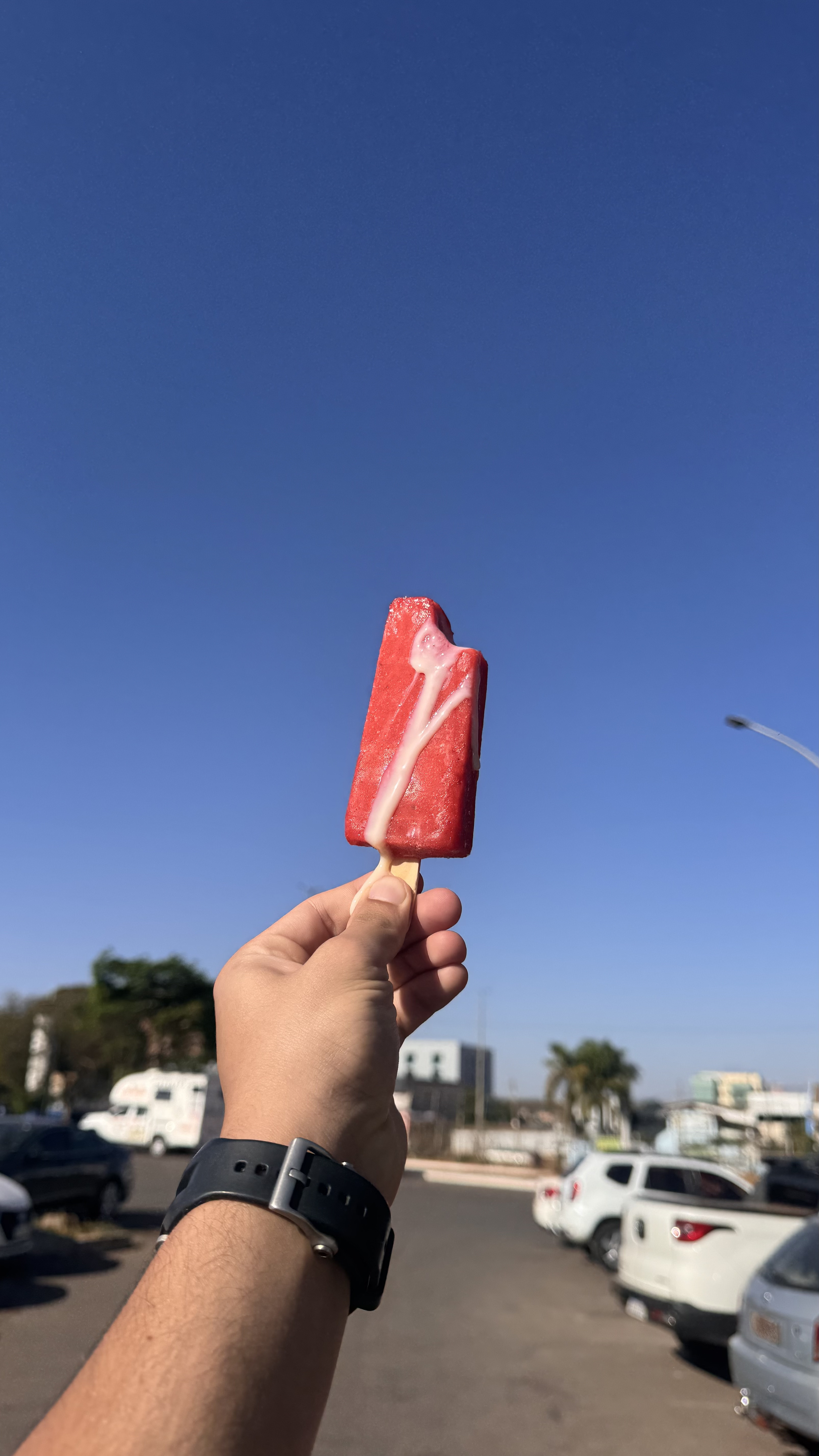 Paleta de Maracujá