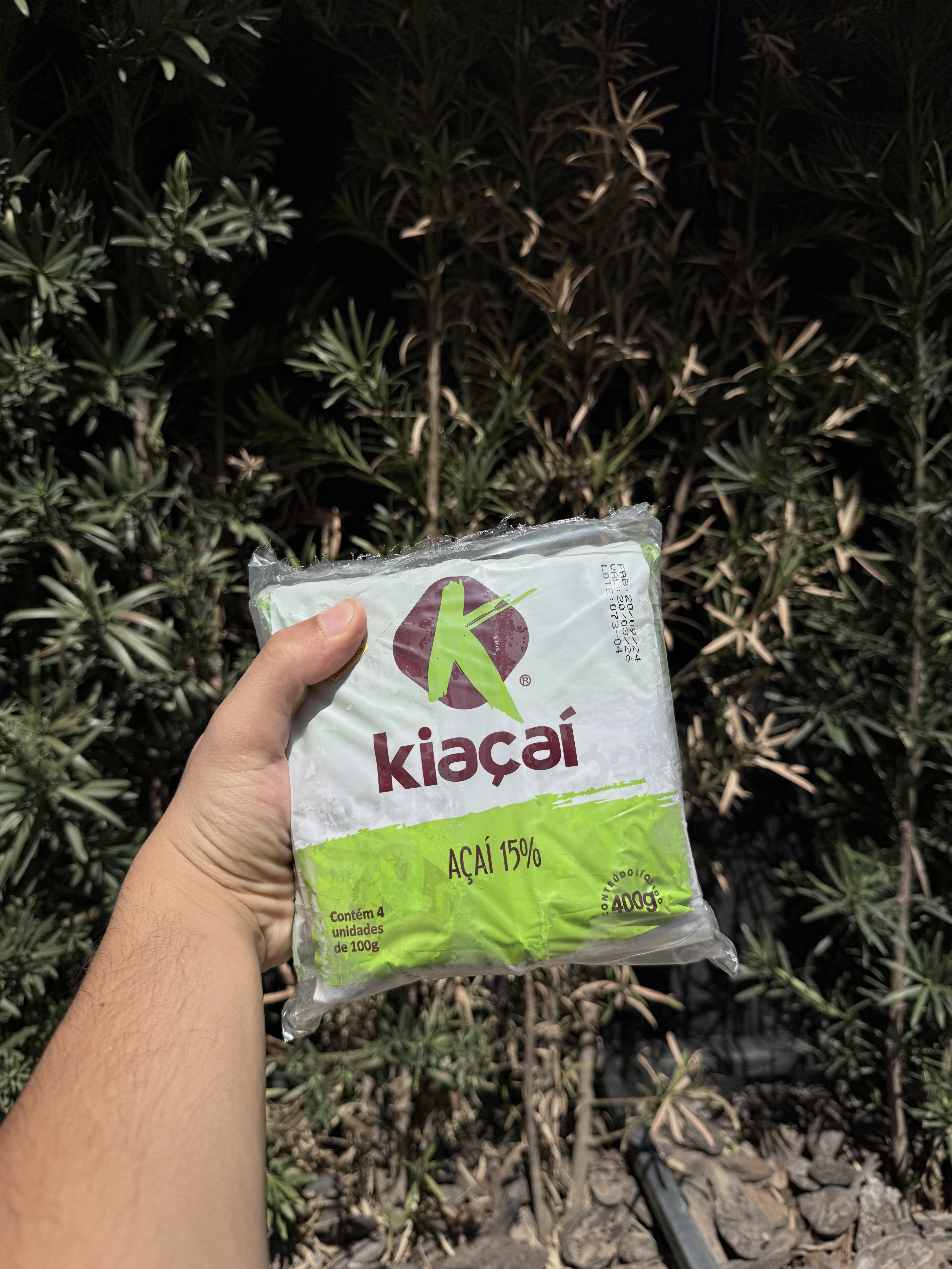 Polpa de açai