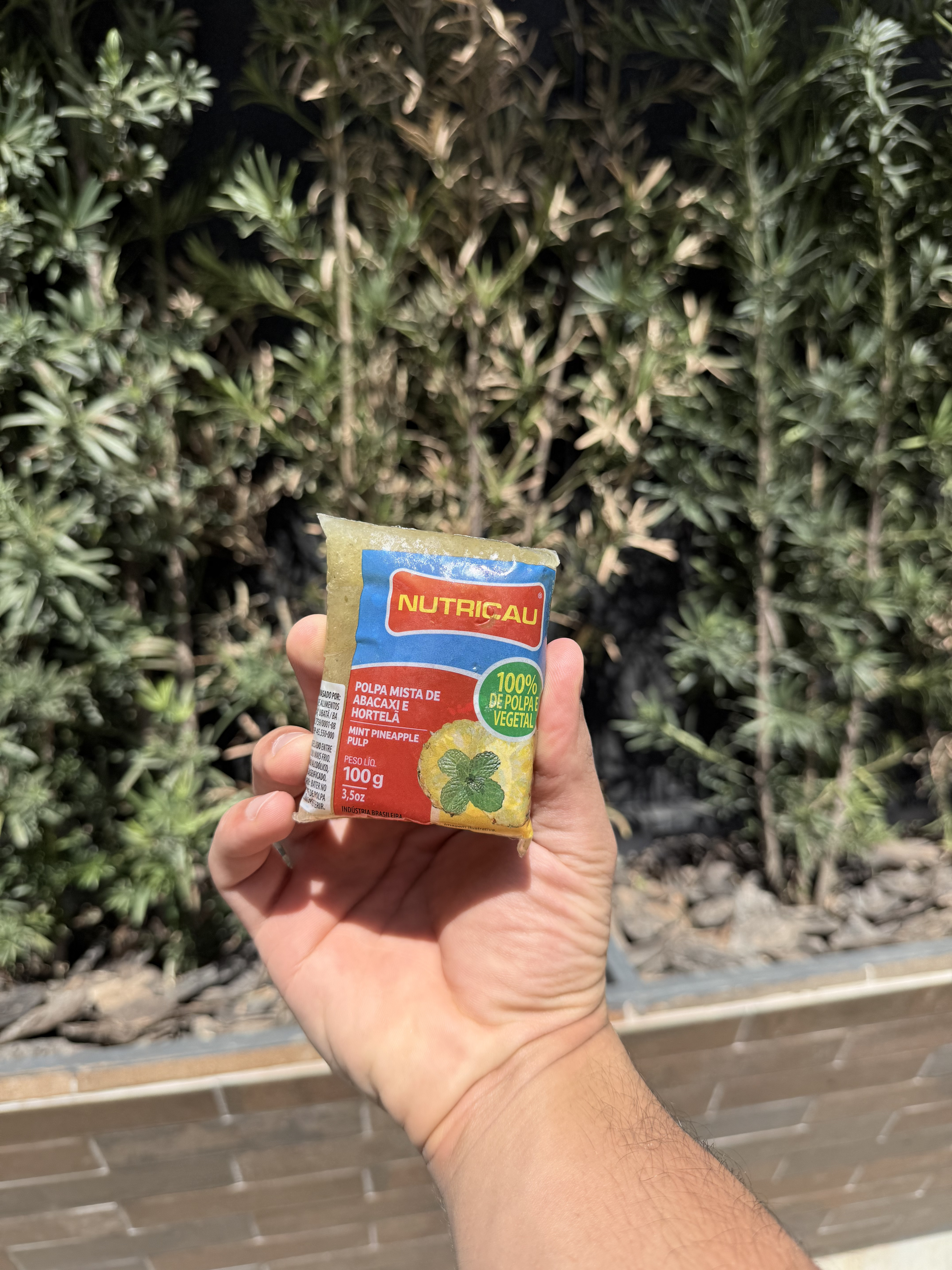 Polpa de Nutricau